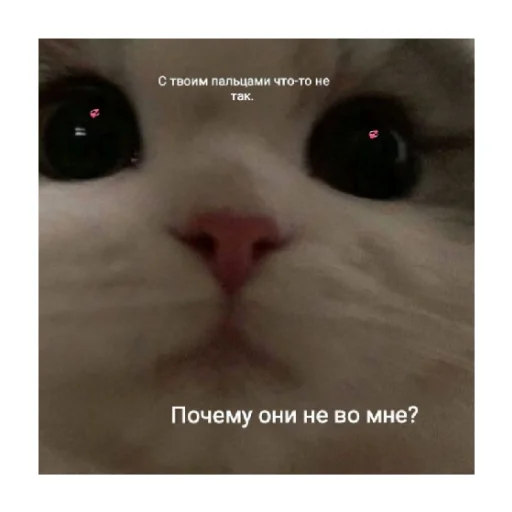 Стикерпак For every occasion 4 для Telegram