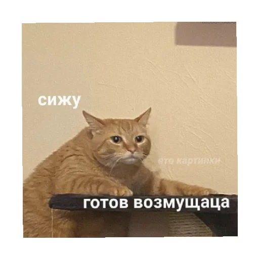 😠 Стикер «For every occasion 4» для Telegram
