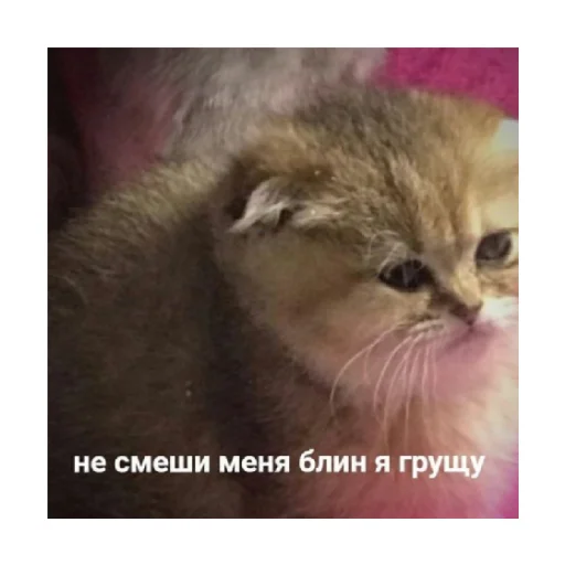 😔 Стикер «For every occasion 4» для Telegram