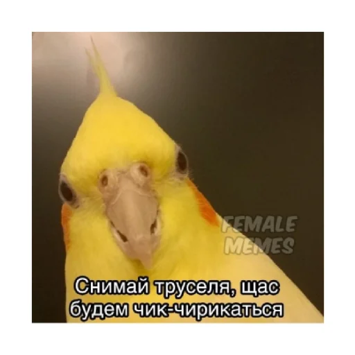 😈 Стикер «For every occasion 4» для Telegram