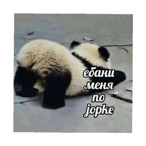 🍑 Стикер «For every occasion 4» для Telegram