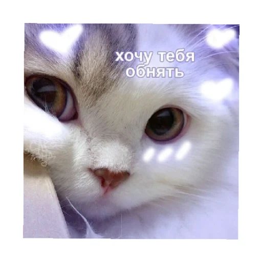 🤗 Стикер «For every occasion 4» для Telegram