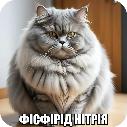 👍 Стикер «Семья пипидастра» для Telegram