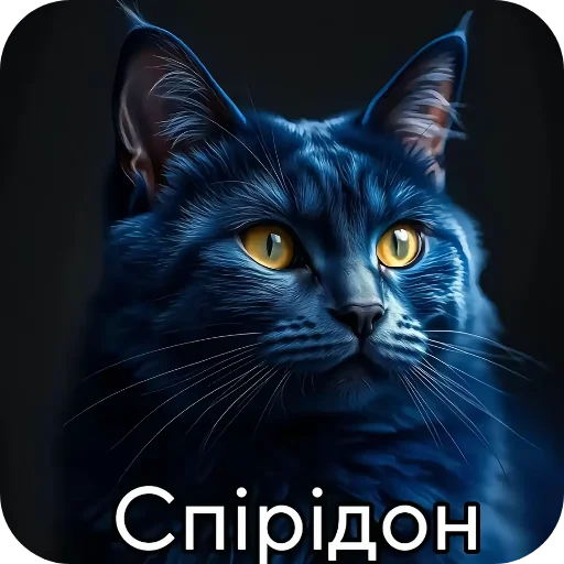👍 Стикер «Семья пипидастра» для Telegram