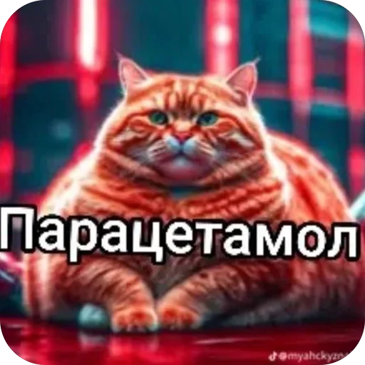 🫥 Стикер «Семья пипидастра» для Telegram