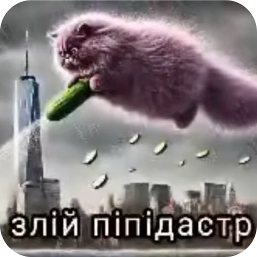 👍 Стикер «Семья пипидастра» для Telegram