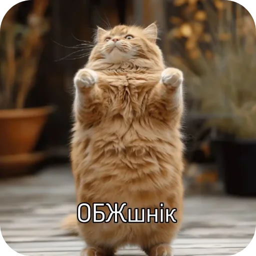 👍 Стикер «Семья пипидастра» для Telegram