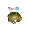 Стикер 33 🐸 Набор эмоджи с лягушками