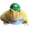 Стикер 19 🐸 Набор эмоджи с лягушками