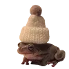 Стикер 10 🐸 Набор эмоджи с лягушками