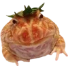 Стикер 28 🐸 Набор эмоджи с лягушками