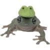 Стикер 13 🐸 Набор эмоджи с лягушками