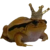 Стикер 18 🐸 Набор эмоджи с лягушками