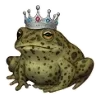 Стикер 4 Frogs In Hats