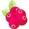 Стикер 24 Fruits Emoji