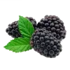 Стикер 39 🍉 Фрукты - Fruit emoji для любителей пп