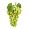 Стикер 34 🍉 Фрукты - Fruit emoji для любителей пп