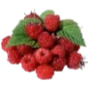 Стикер 41 🍉 Фрукты - Fruit emoji для любителей пп