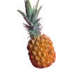 Стикер 26 🍉 Фрукты - Fruit emoji для любителей пп