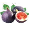 Стикер 23 𝐸𝑥𝑜𝑡𝑖𝑐 𝑓𝑟𝑢𝑖𝑡𝑠