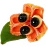 Стикер 35 𝐸𝑥𝑜𝑡𝑖𝑐 𝑓𝑟𝑢𝑖𝑡𝑠