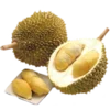 Стикер 28 𝐸𝑥𝑜𝑡𝑖𝑐 𝑓𝑟𝑢𝑖𝑡𝑠