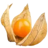 Стикер 4 𝐸𝑥𝑜𝑡𝑖𝑐 𝑓𝑟𝑢𝑖𝑡𝑠