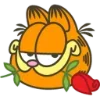 Стикер 17 Garfield