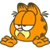 Стикер 31 Garfield