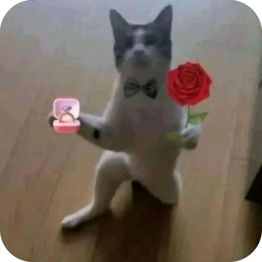 🥰 Стикер «GHcore⋆˙⟡» для Telegram