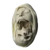 Стикер 3 ንልፎዐየዐፐ ኸሀሠኸሀ