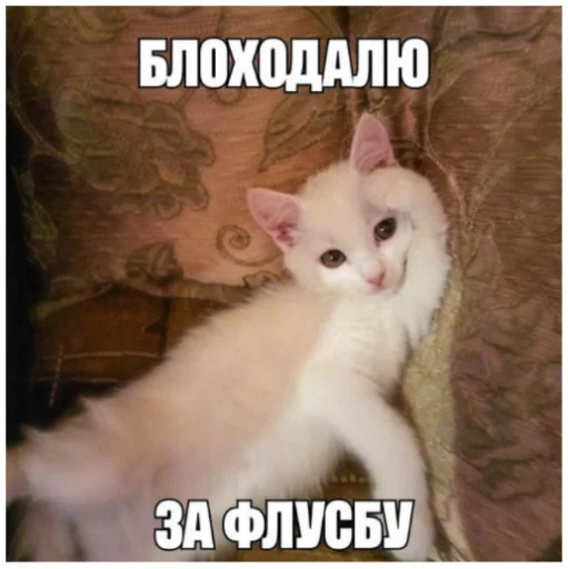 🙂 Стикер «Zdorou» для Telegram