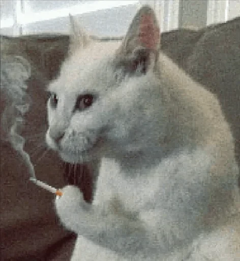 😬 Стикер «Zdorou» для Telegram