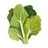 Стикер 36 Garden Tales