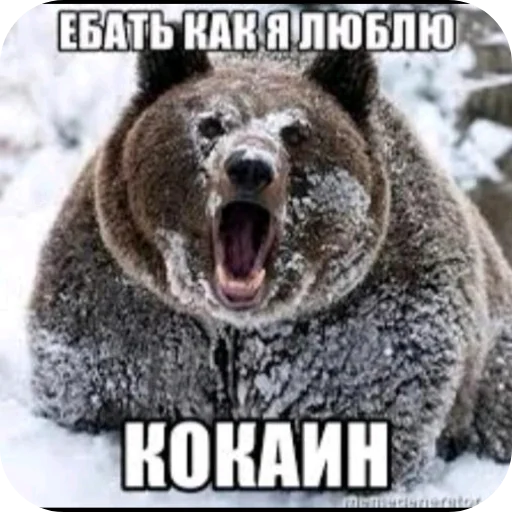 🐶 Стикер «Гейские стикеры для джентельменов» для Telegram