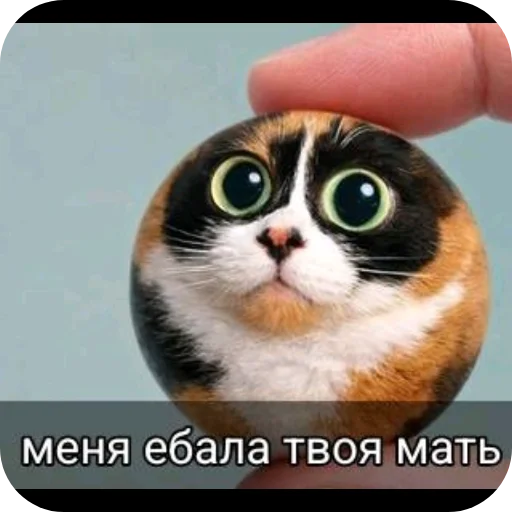 🐱 Стикер «Гейские стикеры для джентельменов» для Telegram