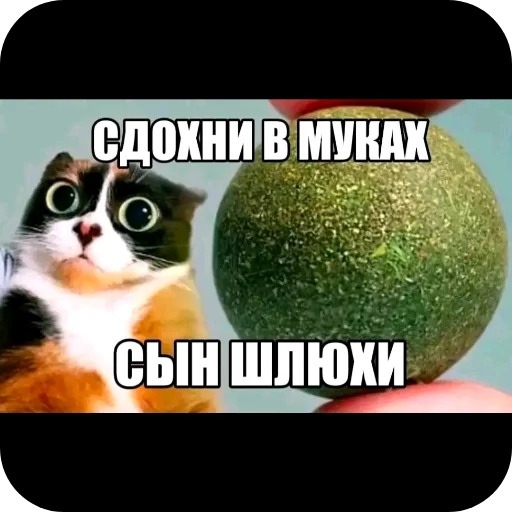 🖼 Стикер «Гейские стикеры для джентельменов» для Telegram
