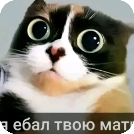 Стикерпак Гейские стикеры для джентельменов для Telegram
