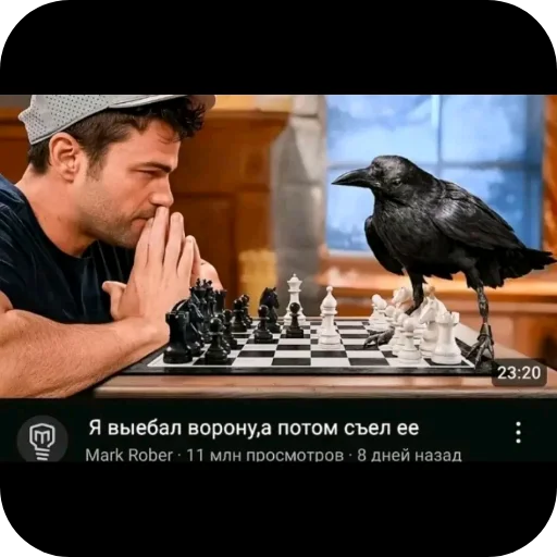 🎫 Стикер «Гейские стикеры для джентельменов» для Telegram
