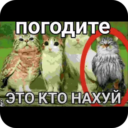 🖼 Стикер «Гейские стикеры для джентельменов» для Telegram
