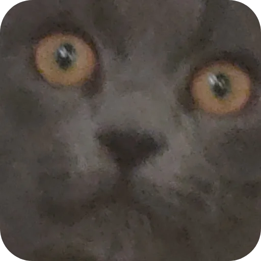 🐱 Стикер «Гениальное оружие» для Telegram