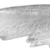 Стикер 52 ᶤ𝐆ꫀꪀ𝗍ᥣꫀ 𝐀ꪀꬶꫀᥣ𑂘