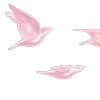 Стикер 33 ᶤ𝐆ꫀꪀ𝗍ᥣꫀ 𝐀ꪀꬶꫀᥣ𑂘