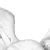 Стикер 54 ᶤ𝐆ꫀꪀ𝗍ᥣꫀ 𝐀ꪀꬶꫀᥣ𑂘