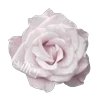 Стикер 37 ᶤ𝐆ꫀꪀ𝗍ᥣꫀ 𝐀ꪀꬶꫀᥣ𑂘