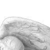 Стикер 55 ᶤ𝐆ꫀꪀ𝗍ᥣꫀ 𝐀ꪀꬶꫀᥣ𑂘