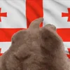 Стикер 26 Georgia - эмодзи с флагами и вайбом Грузии