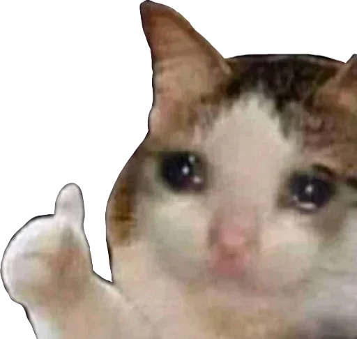🥺 Стикер «Sticker Pack» для Telegram