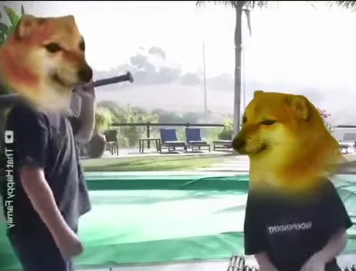 🏵 Стикер «Gif» для Telegram