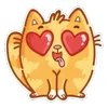 Обложка набора Ginger Cat